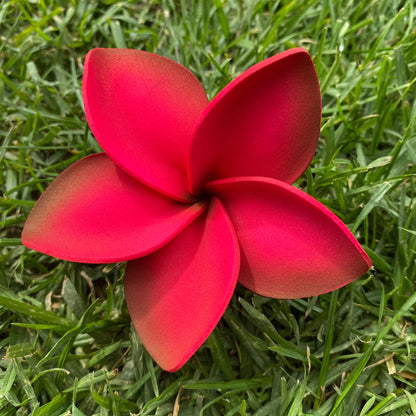 Large Frangipani Sei Faux Hair Flowers Pacific Islander Womens Accessories 9cm #product_variant# - Island Aesthetica