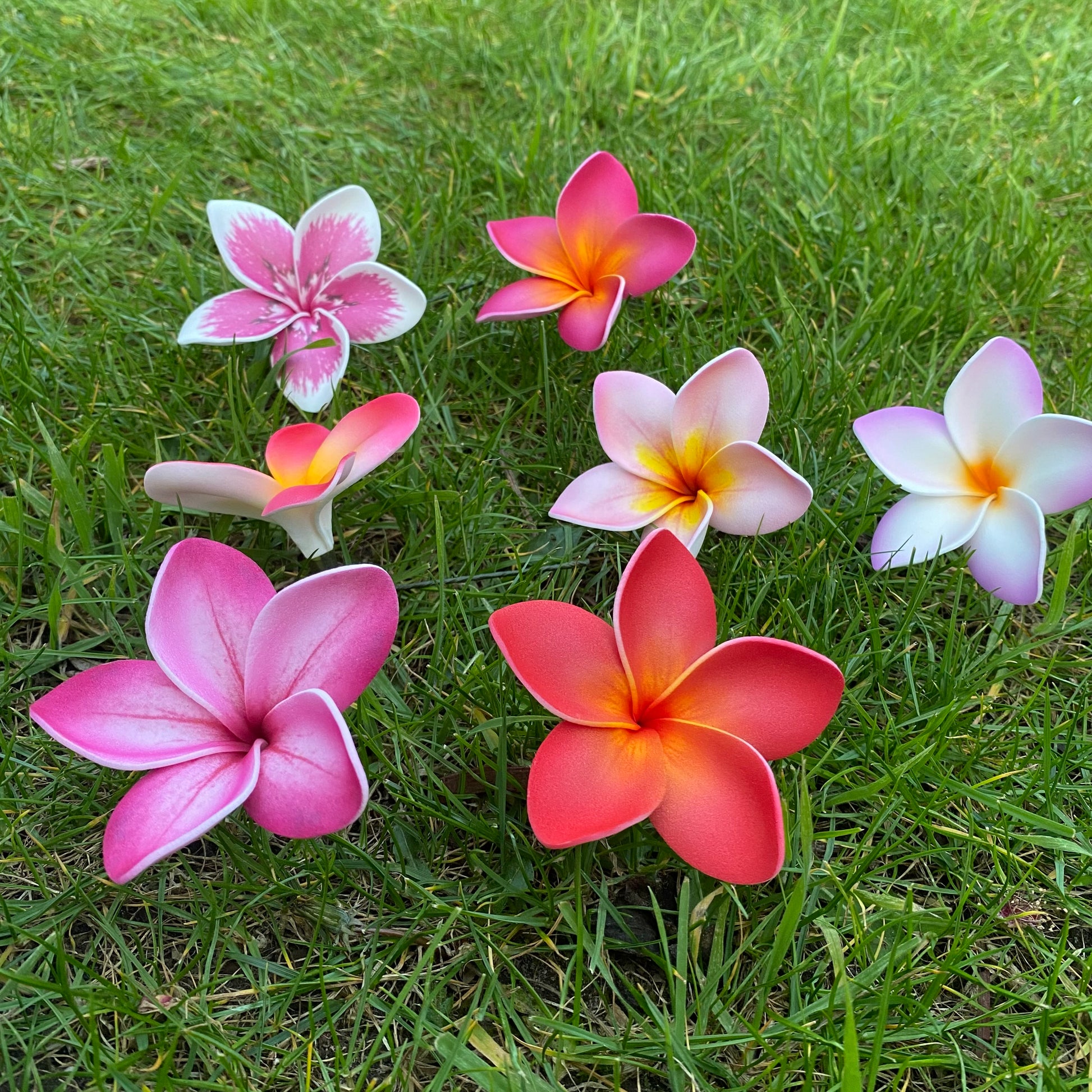 Medium Frangipani Sei Foam Flowers 7.5cm Pacific Islands Accessories #product_variant# - Island Aesthetica