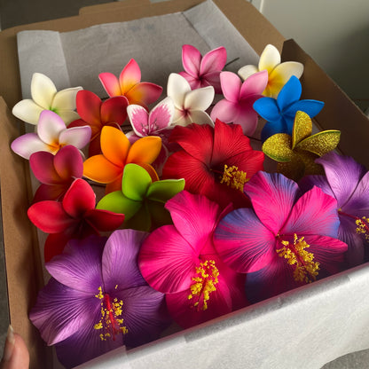 Aroha Assorted Hibiscus & Frangipani (20x) Sei Gift Box