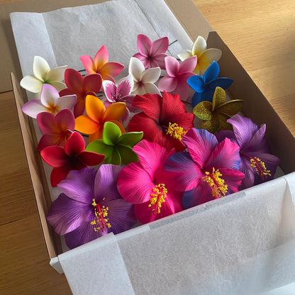 Aroha Assorted Hibiscus & Frangipani (20x) Sei Gift Box