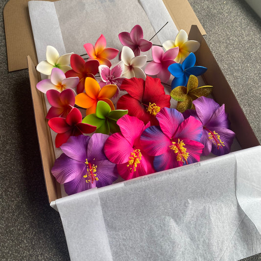 Aroha Assorted Hibiscus & Frangipani (20x) Sei Gift Box