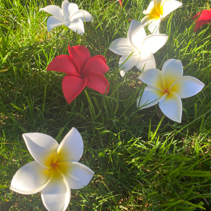 Frangipani Sei Foam Flowers 8cm Pacific Islands Accessories Size M