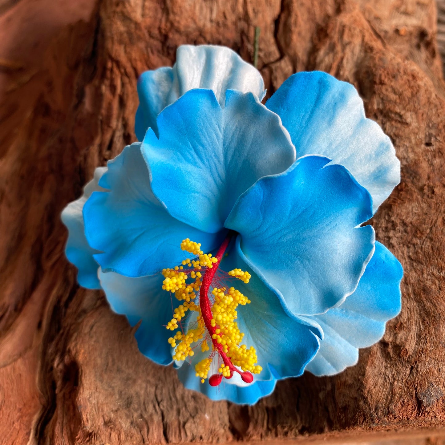 Medium Double Hibiscus Sei Hair Flowers 8.5cm Aute Pasifika #product_variant# - Island Aesthetica