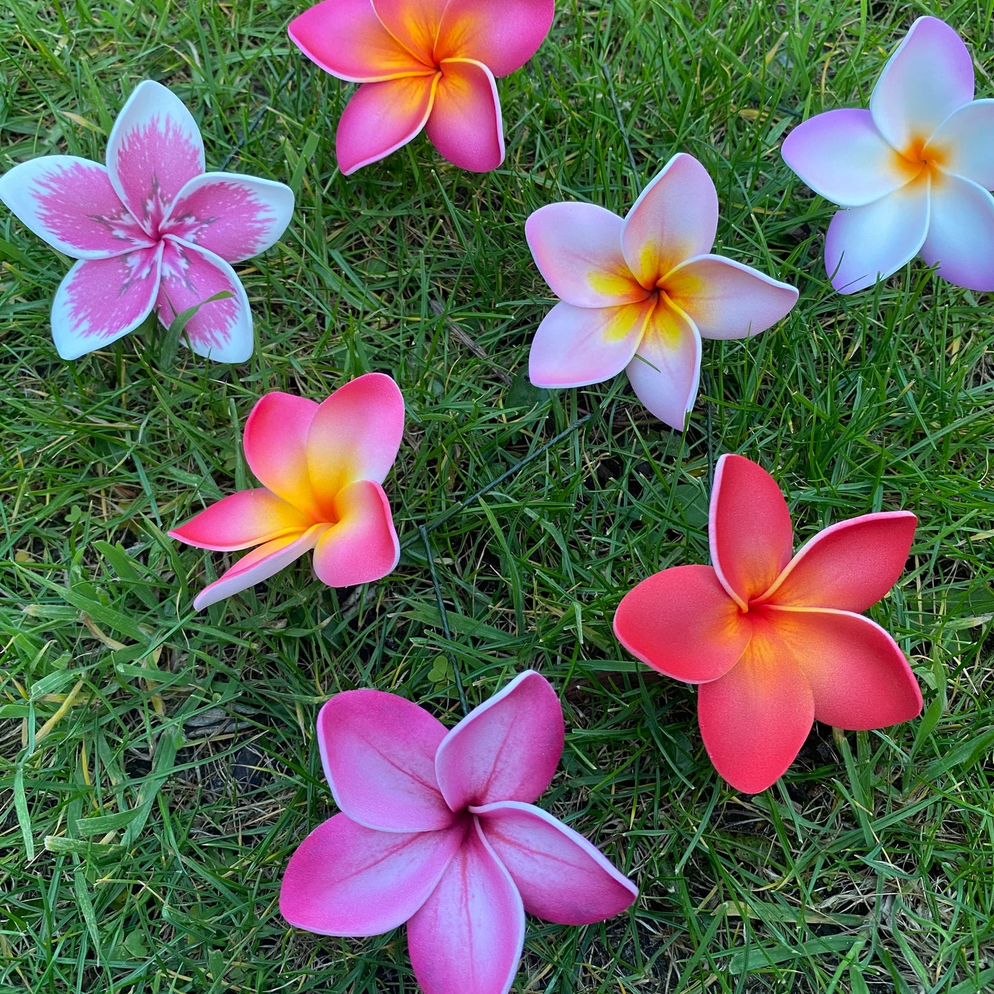 Medium Frangipani Sei Foam Flowers 7.5cm Pacific Islands Accessories #product_variant# - Island Aesthetica