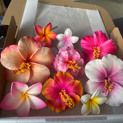 Sione Assorted Flowers (9x) Gift Box