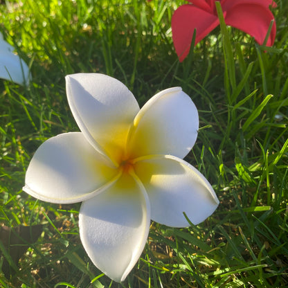 Frangipani Sei Foam Flowers 8cm Pacific Islands Accessories Size M