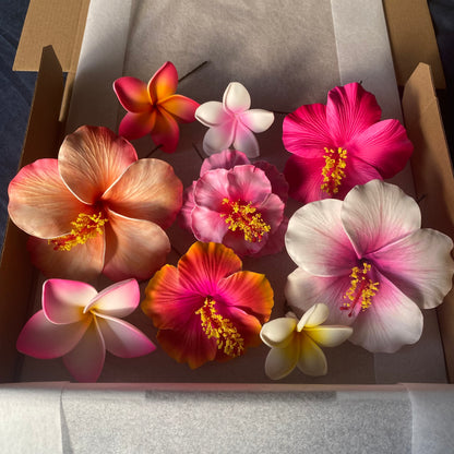 Sione Assorted Flowers (9x) Gift Box