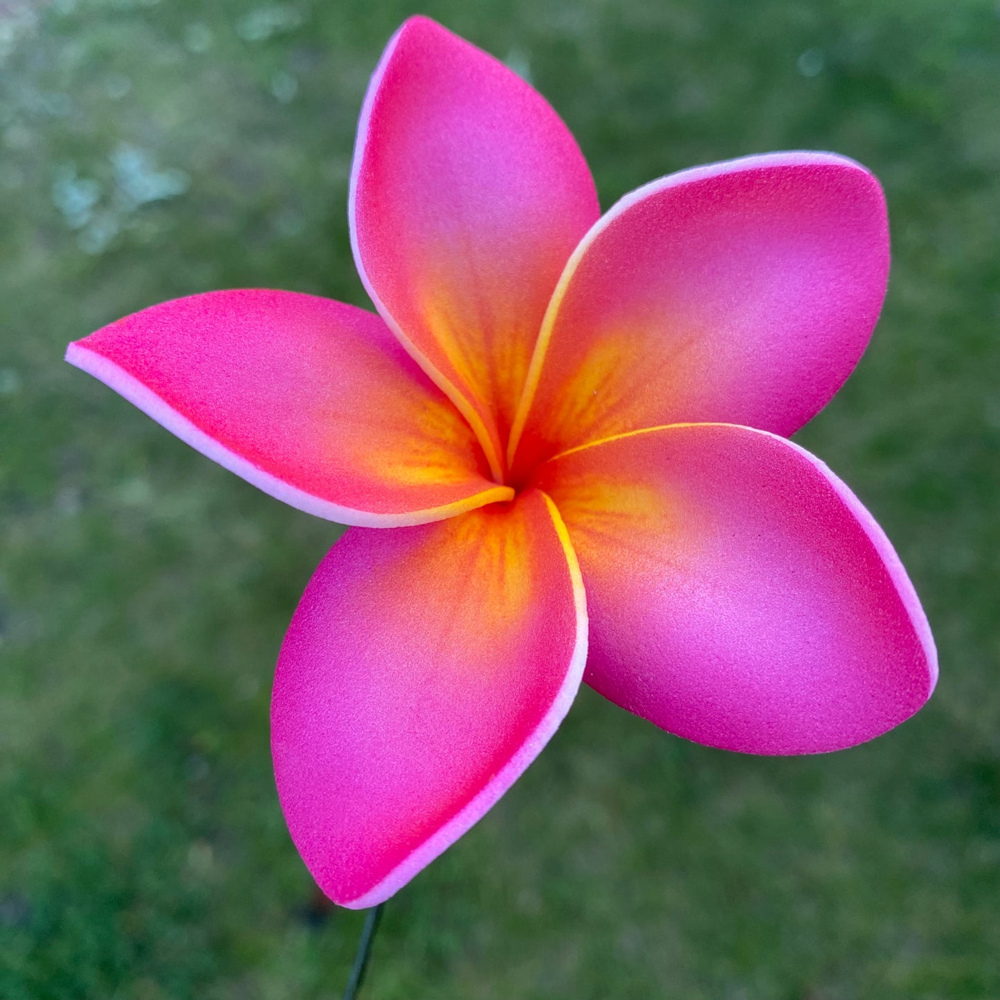 Medium Frangipani Sei Foam Flowers 7.5cm Pacific Islands Accessories #product_variant# - Island Aesthetica